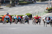 �X�΂̌������ٓV�勴