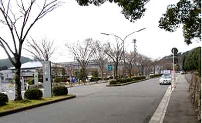競技ロード風景